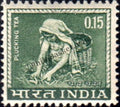 #DST81 - PluckingTea Ashokan Watermark Definitive Stamp India 4th Series Agriculture, Tourism, Export Promotion (21) 15 Aug 1965