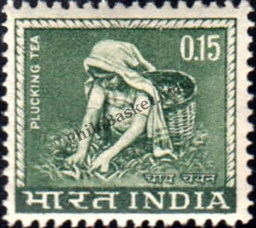 #DST81 - PluckingTea Ashokan Watermark Definitive Stamp India 4th Series Agriculture, Tourism, Export Promotion (21) 15 Aug 1965