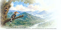#FDC2176 (B) - Arunachal Pradesh Commemorative Postage Series - Fauna - First Day Cover Blank FDC - India - 17 Jul 2026