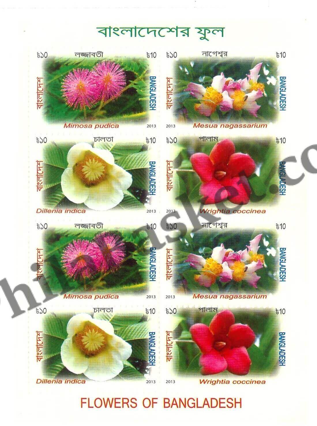 #FI37 - Flower of Bangladesh - Sheetlet - Bangladesh - 2013