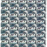#FS1514-Indigenous Horses of India - (Marwari,Kathiwari,Manipuri,Zanskari )- FullSheet (Set of 4) India MNH - 2009