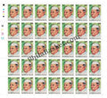 #FS1716-Babu Banarasi Das- FullSheet India MNH - 2013