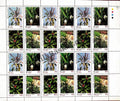 #FS983-Indian Medicinal Plants - Tulsi (Ocimum Sanctum),Haridra ( Curcuma Longa),Sarpagandha (Rauwolfia Serpentina),Ghritkumari (Aloe Barbadensis) - Mix Setenant Sheet- FullSheet (Set of 4) India MNH - 1997