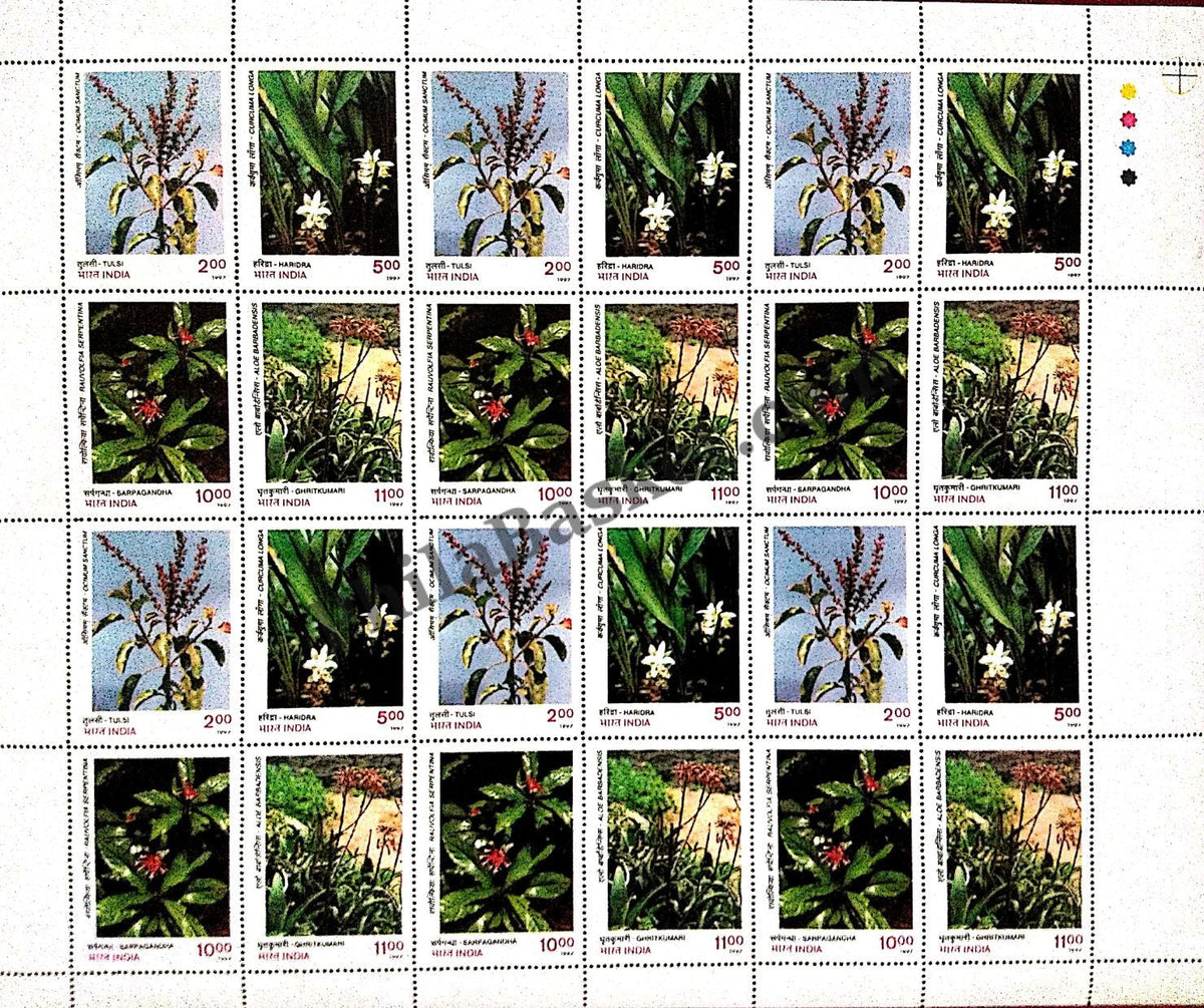 #FS983-Indian Medicinal Plants - Tulsi (Ocimum Sanctum),Haridra ( Curcuma Longa),Sarpagandha (Rauwolfia Serpentina),Ghritkumari (Aloe Barbadensis) - Mix Setenant Sheet- FullSheet (Set of 4) India MNH - 1997