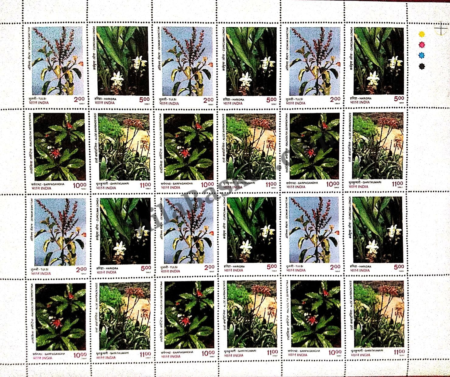 #FS983-Indian Medicinal Plants - Tulsi (Ocimum Sanctum),Haridra ( Curcuma Longa),Sarpagandha (Rauwolfia Serpentina),Ghritkumari (Aloe Barbadensis) - Mix Setenant Sheet- FullSheet (Set of 4) India MNH - 1997