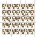 #FS990-Hazari Prasad Dwivedi- FullSheet India MNH - 1997