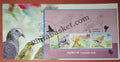 #MS-FDC163 - Vulnerable Birds - Miniature Sheet First Day Cover (MSFDC) - 18-Sep-17