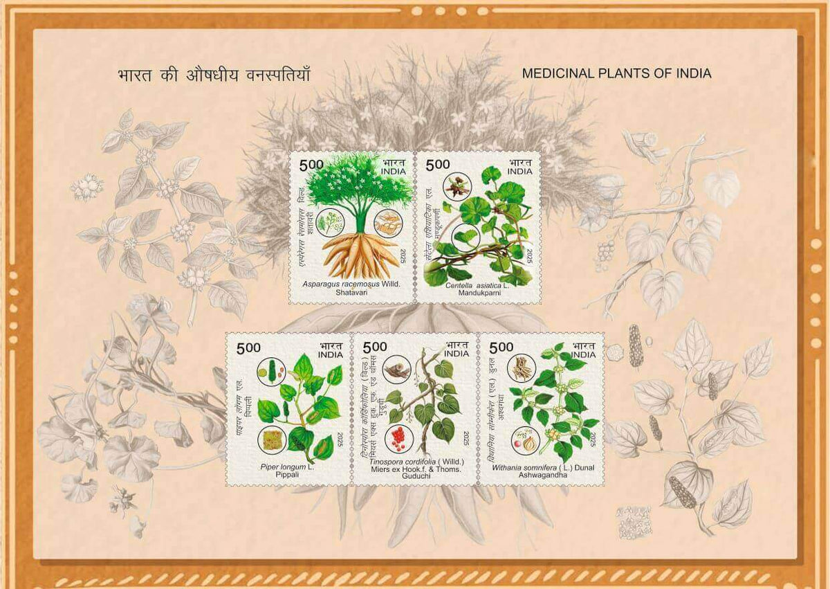 #MS296 - Medicinal Plant of India - Miniature Sheet MS - MNH - India - 19 Dec 2025
