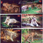 #PC117 - International Tiger Day (Set of 5) with Matte Finish and Cancellation - Picture Postcard - Goa - India - 29 Jul 2022