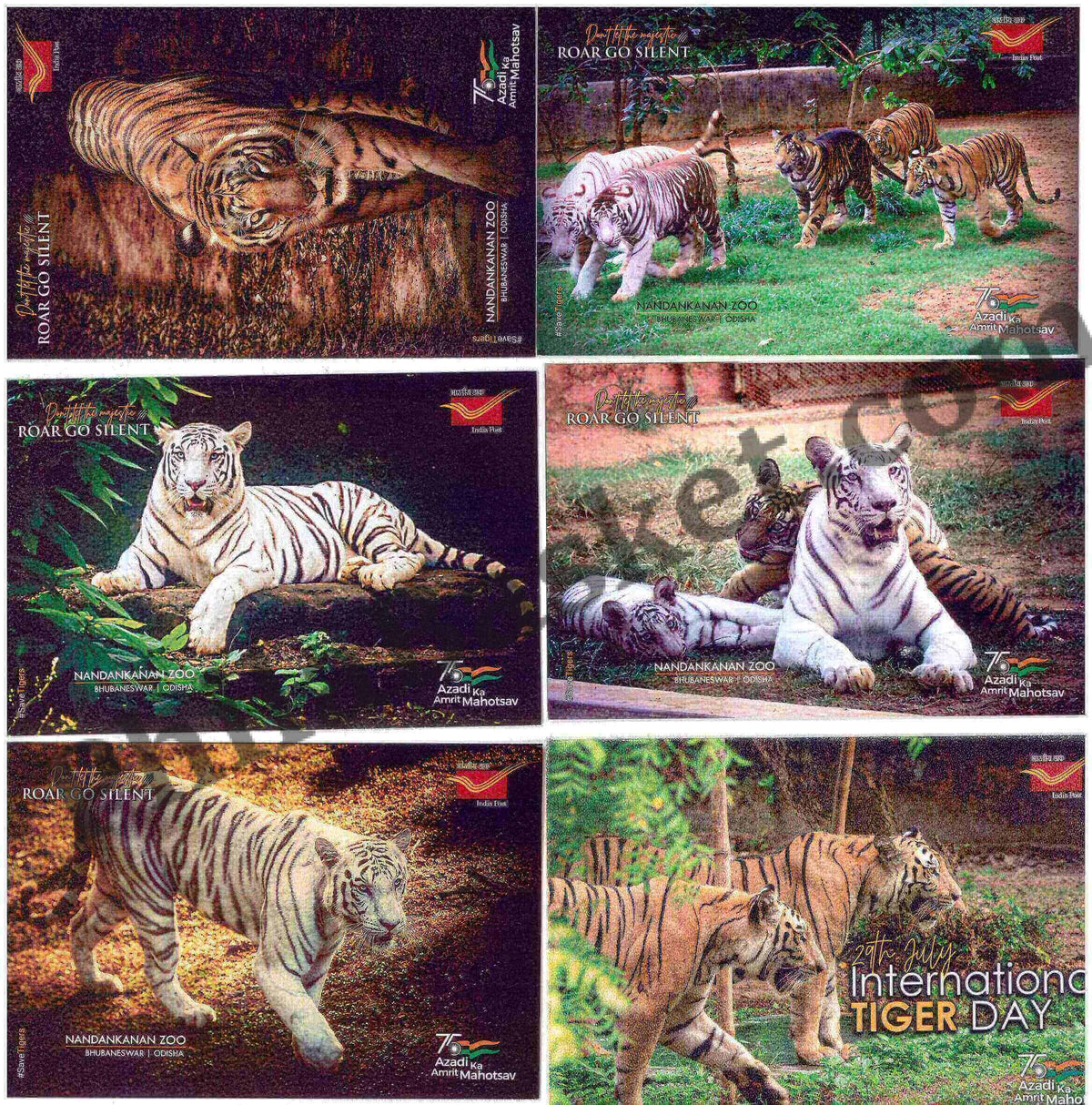 #PC117 - International Tiger Day (Set of 5) with Matte Finish and Cancellation - Picture Postcard - Goa - India - 29 Jul 2022