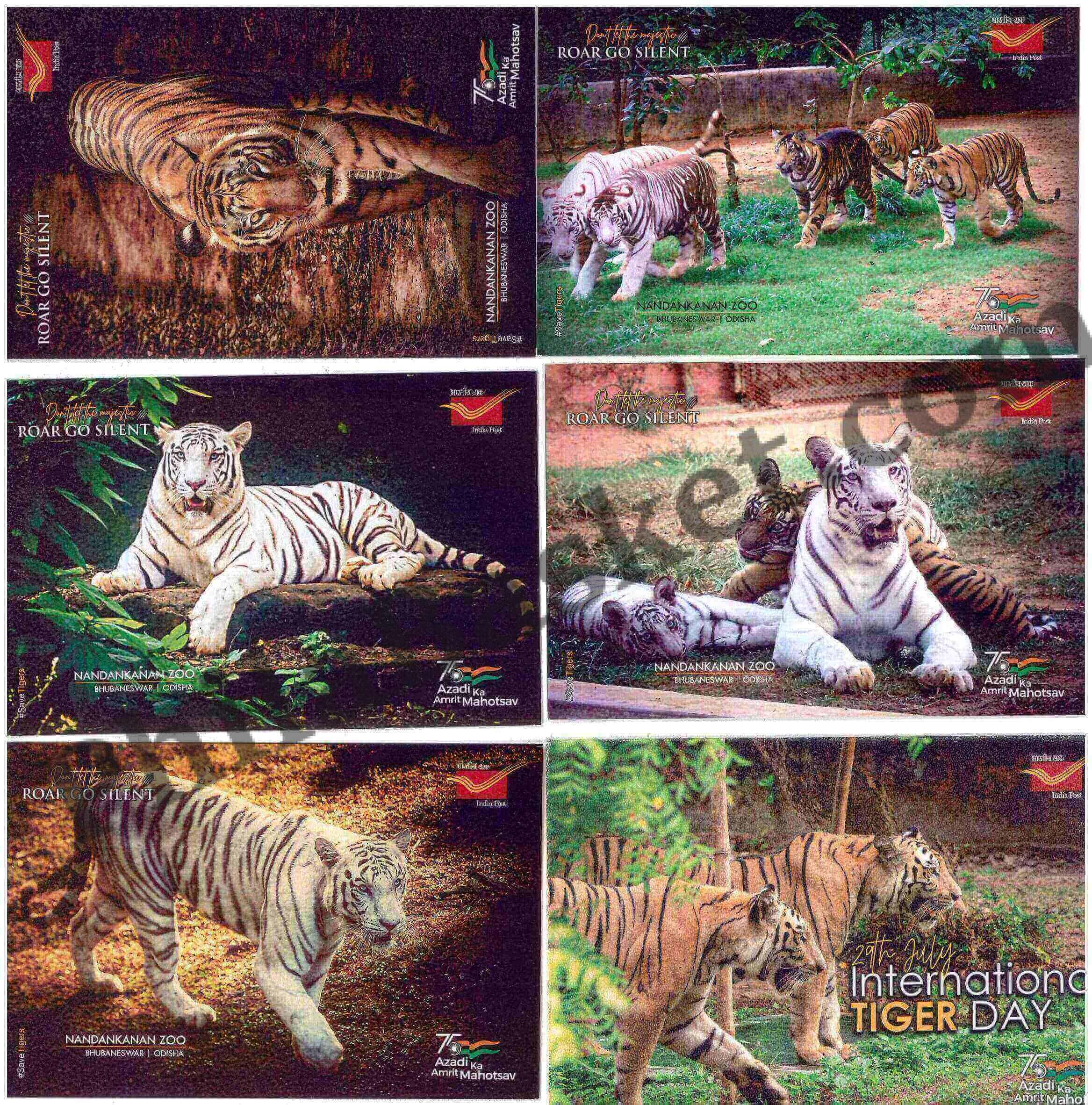 #PC117 - International Tiger Day (Set of 5) with Matte Finish and Cancellation - Picture Postcard - Goa - India - 29 Jul 2022