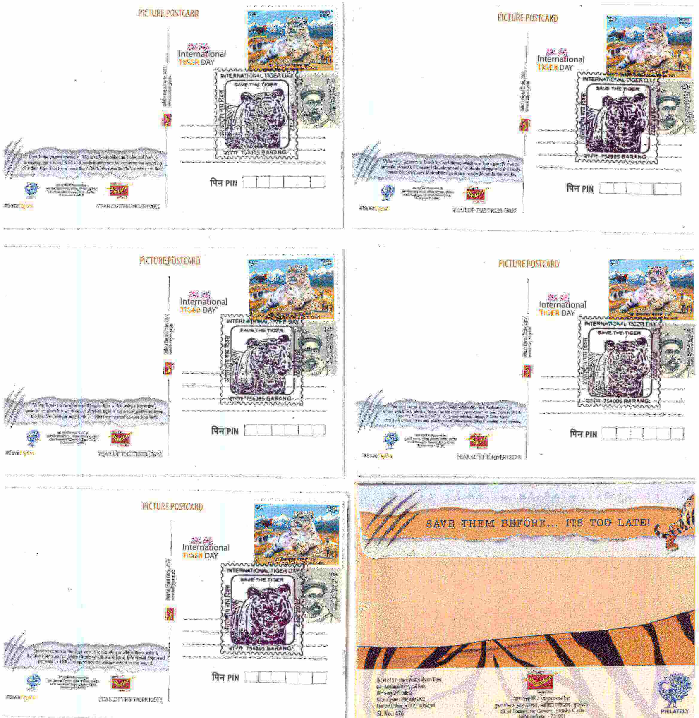 #PC117 - International Tiger Day (Set of 5) with Matte Finish and Cancellation - Picture Postcard - Goa - India - 29 Jul 2022