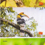#PC12 - Picture Postcards on Endangered Birds - India - 2021