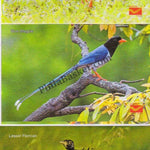 #PC12 - Picture Postcards on Endangered Birds - India - 2021