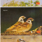 #PC12 - Picture Postcards on Endangered Birds - India - 2021