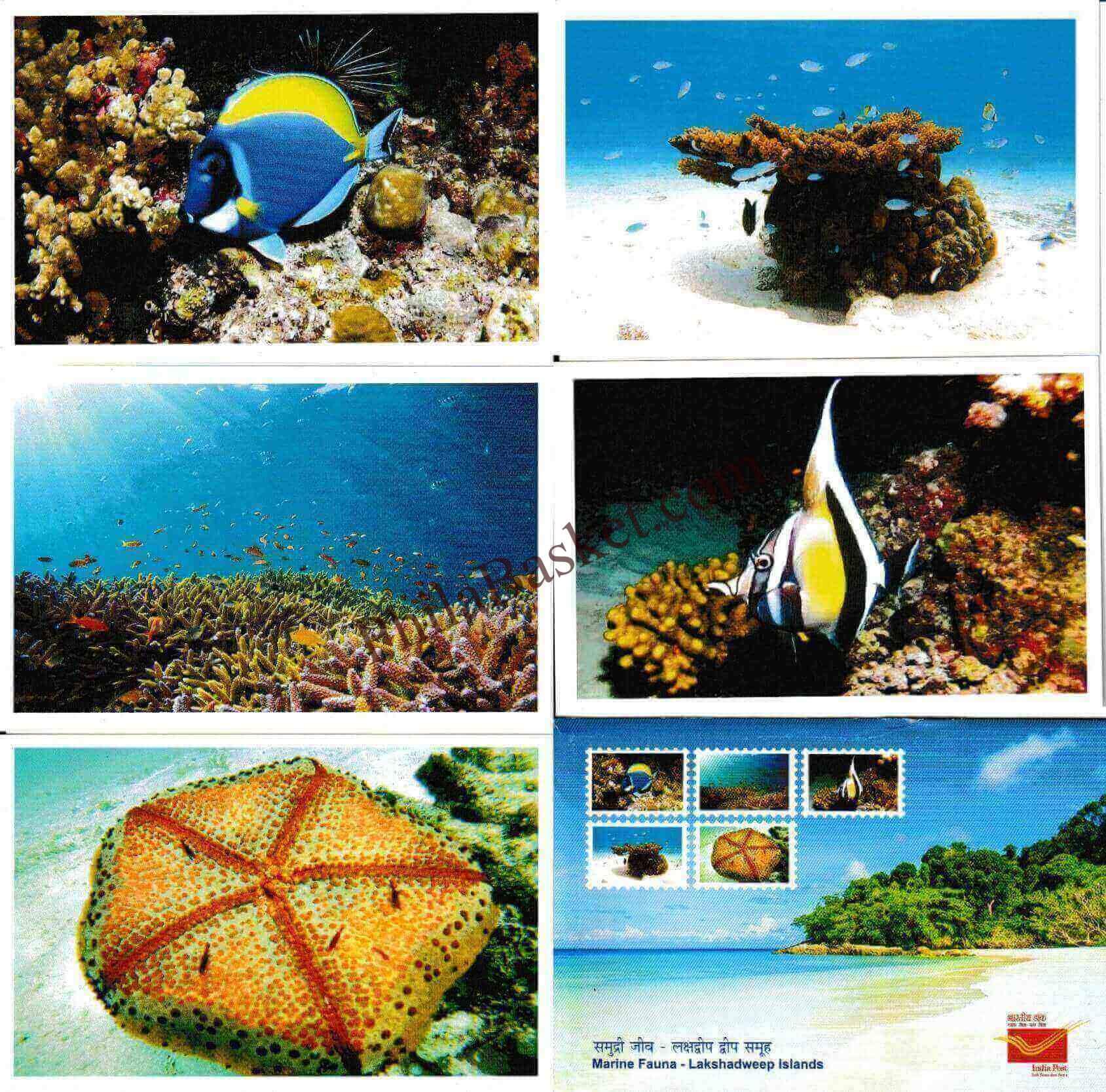 #PC149 - Marine Fauna - Lakshadweep Islands (Set of 5) - Picture Postcard - Kerala - India - 21 Jan 2026