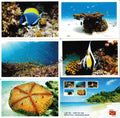 #PC150 - Marine Fauna - Lakshadweep Islands with Cancellation (Set of 5) - Picture Postcard - Kerala - India - 21 Jan 2026