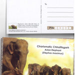 #PC97 - Picture Postcard on Charismatic Chhattisgarh Asian Elephant (Elephas Maximus) ( Set of 18)- India - 01 Jun 2023