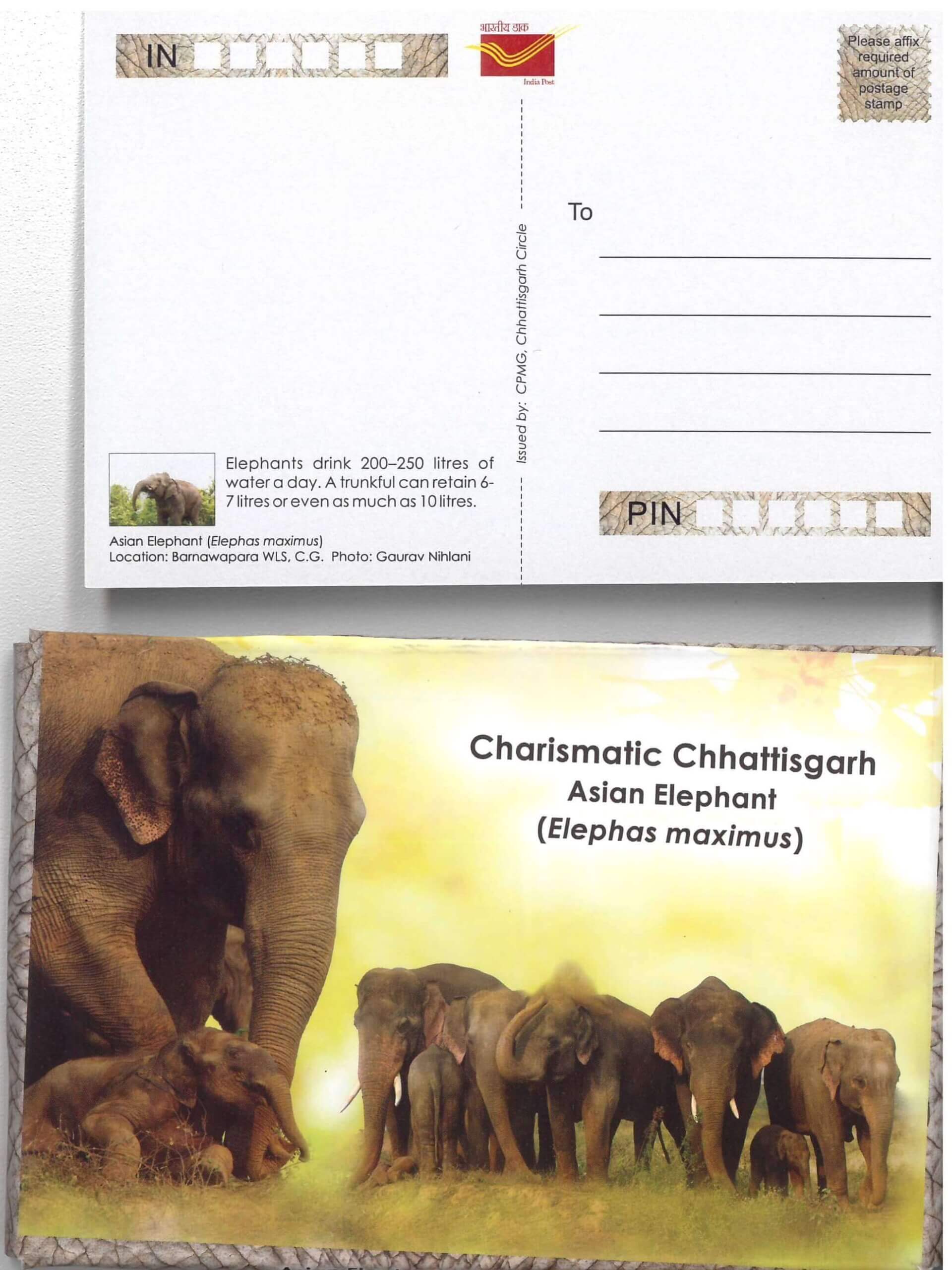 #PC97 - Picture Postcard on Charismatic Chhattisgarh Asian Elephant (Elephas Maximus) ( Set of 18)- India - 01 Jun 2023