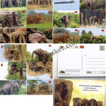 #PC97 - Picture Postcard on Charismatic Chhattisgarh Asian Elephant (Elephas Maximus) ( Set of 18)- India - 01 Jun 2023
