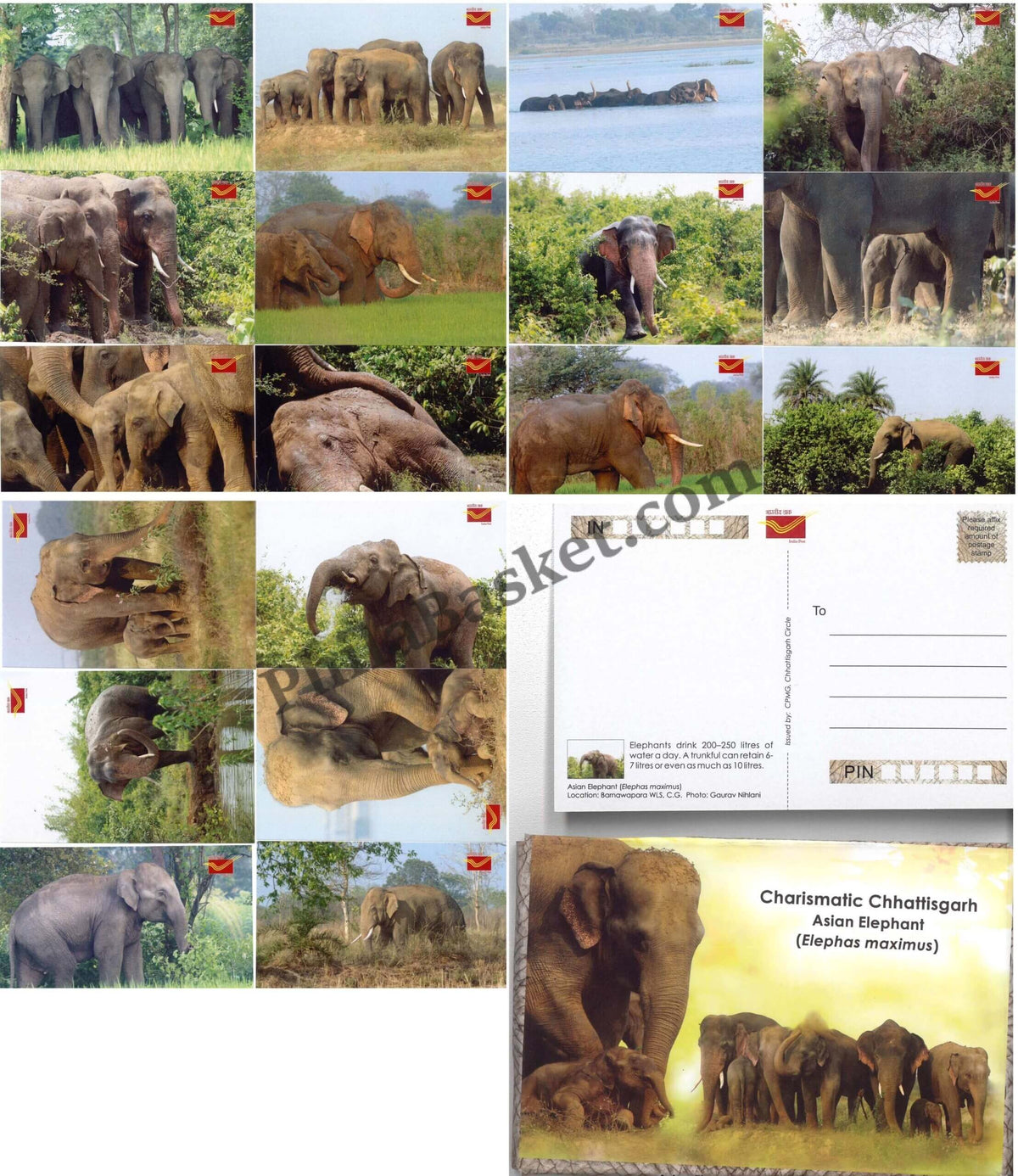 #PC97 - Picture Postcard on Charismatic Chhattisgarh Asian Elephant (Elephas Maximus) ( Set of 18)- India - 01 Jun 2023