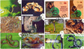 #PC98 - Snakes - Unravelling The Mystery with (Set of 13 -1 Cancelled, 1 Booklet) - Picture Postcard - Goa - India - 22 Apr 2022