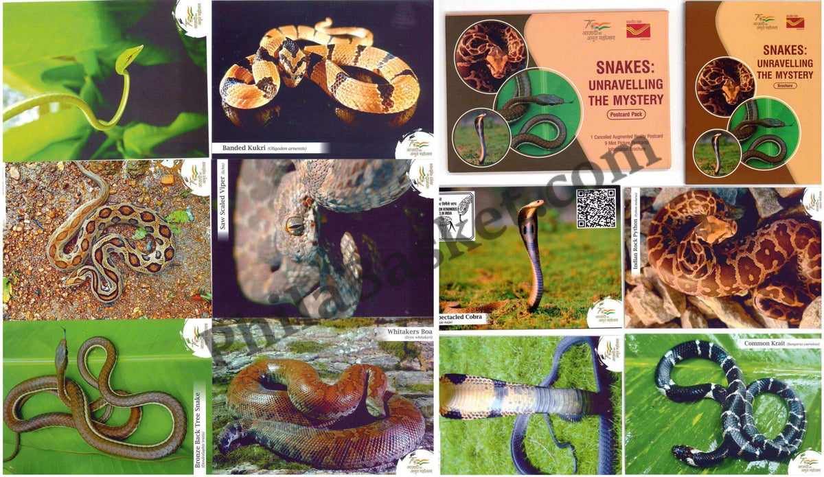#PC98 - Snakes - Unravelling The Mystery with (Set of 13 -1 Cancelled, 1 Booklet) - Picture Postcard - Goa - India - 22 Apr 2022