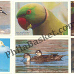 #PC89 - Rare Birds of Andaman (Set of 8) - Picture Postcard- India - 01 Jan 2021