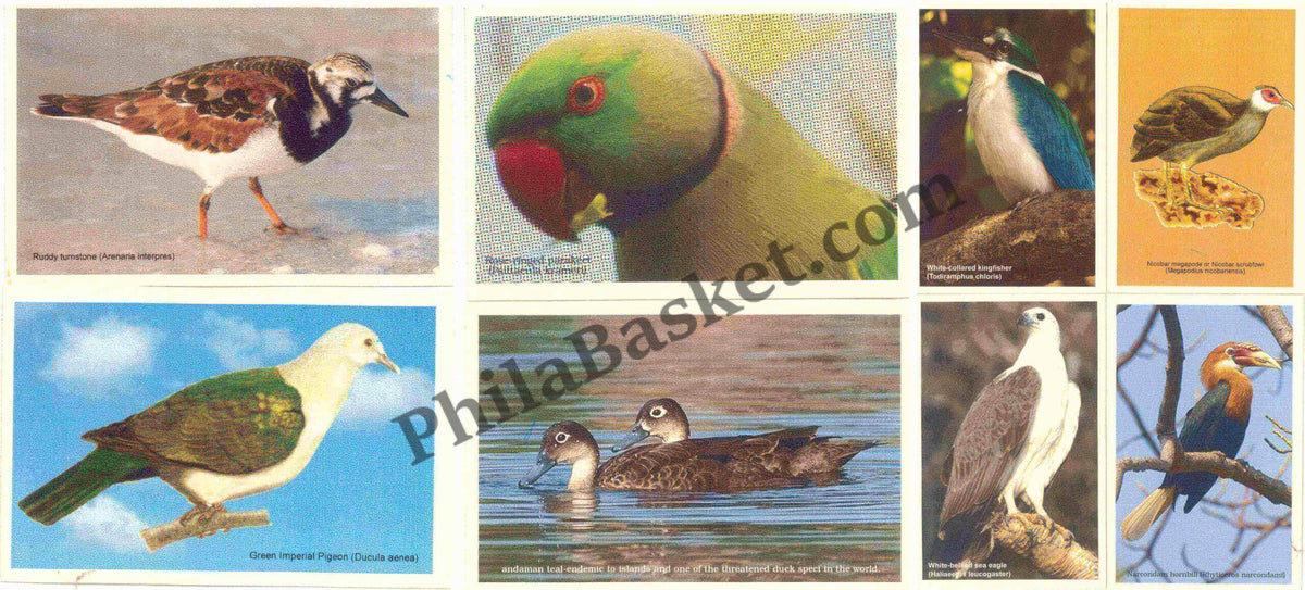 #PC89 - Rare Birds of Andaman (Set of 8) - Picture Postcard- India - 01 Jan 2021