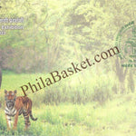 #SC1238 - Tiger - Elephant, Released During Thailand International Exhibition 2023 - Special Cover - Thailand - 29 Nov 2023