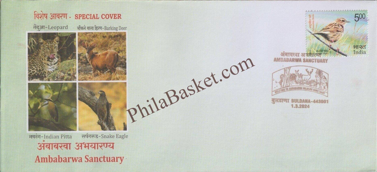 #SC1357 - Ambabarwa Sanctuary - By Maharashtra Circle - Special Cover - India - 01 Mar 2024