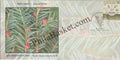 #SC1358 - Thuner (Taxus) Contorta Griff - By Uttarakhand Circle - Special Cover - India - 01 Mar 2024