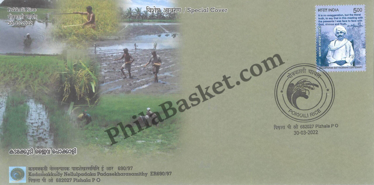 #SC361 - Pokkali Rice , GI Tag / ODOP by Kerala Circle - Special Cover - India - 30 Mar 2022