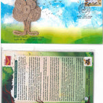 #SC389 - Protect Nature - Preserve Future (Environment Day) with Real Piece of Jute and wooden Broucher with Real Seeds By West Bangal - Special Cover - India - 05 Jun 2024