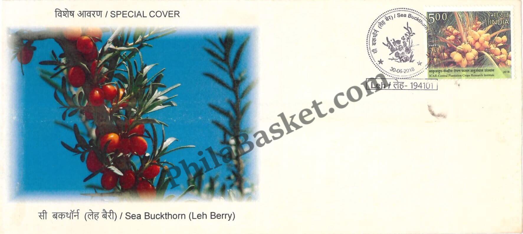 #SC575 - Sea Buckthorn ( leh berry ) by Jammu and Kashmir circle - Special Cover - India - 30 Jun 2018