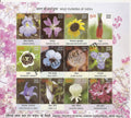 #SL94 WILD FLOWER SHEETLET MNH INDIA 2013
