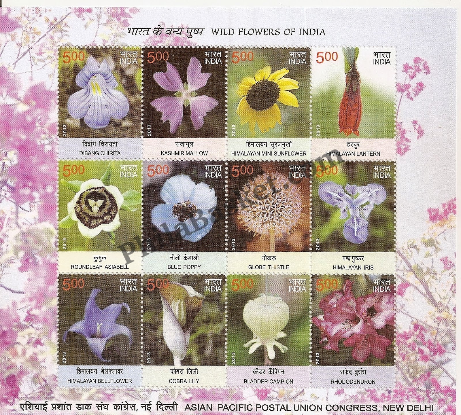 #SL94 WILD FLOWER SHEETLET MNH INDIA 2013