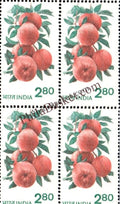 #DBK133 - Apples Ashokan Watermark Definitive Block of Four Stamp India 6th Series Rural Prosperity (21)