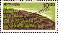 #DST136 - Afforestation Ashokan Watermark Definitive Stamp India 6th Series Rural Prosperity (21)