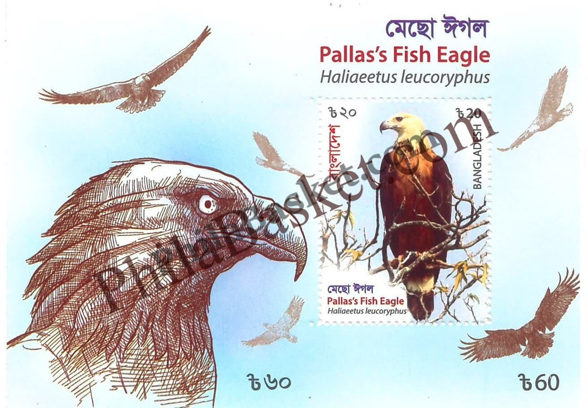 #FI05 - PallasS Fish Eagle (Haliaeetus Leucoryphus) - Miniature Sheet - Bangladesh - 2000
