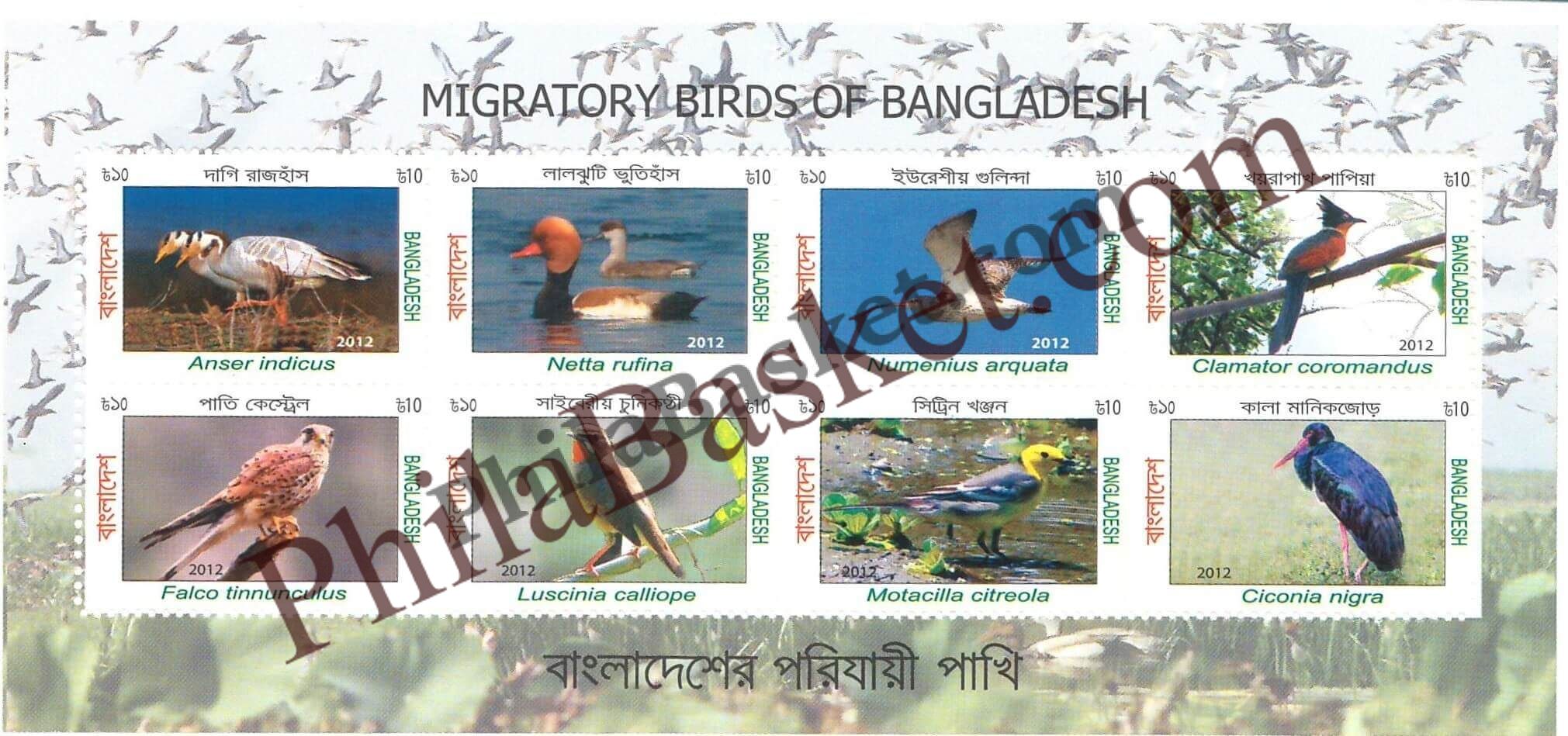 #FI08 - Migratory Birds of Bangladesh - Miniature Sheet - Bangladesh - 2012