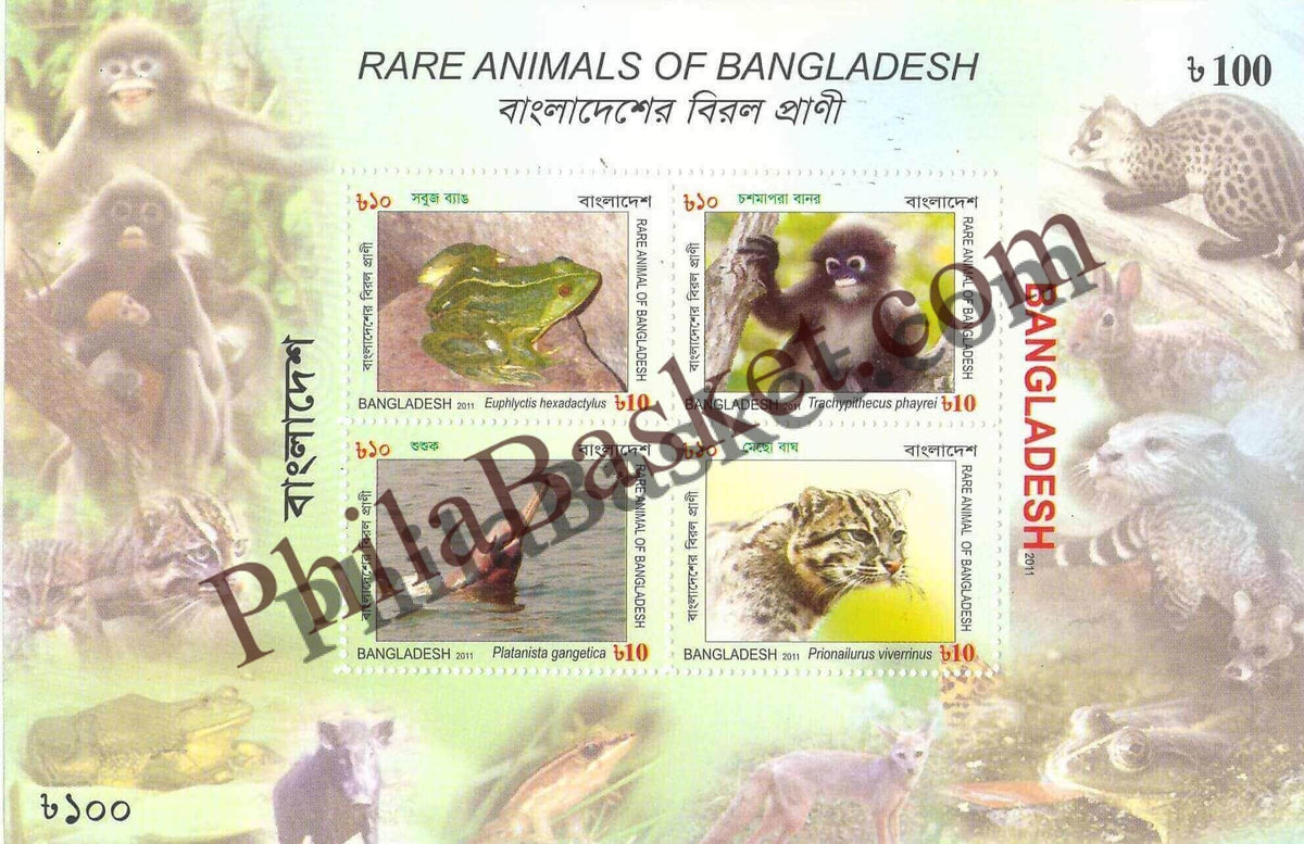 #FI38 - Rare Animal of Bangladesh - Miniature Sheet - Bangladesh - 2011