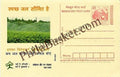 #MPC111 - Crop MeghDoot PostCard India  - 14 Mar 2005 Hindi