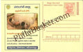 #MPC599 - Jala Yagnam Irrigation Intiative Warangal Andhra Pradesh MeghDoot PostCard India  - 1 Apr 2008 Telugu