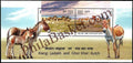 #MS116 - Wild Asses ( Kiang - Ladakh and Ghor Khar - Kutch ) - Miniature Sheet MS - MNH - India - 10 May 2013