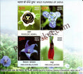 #MS118 - Wild Flowers of India (2/3) - Miniature Sheet MS - MNH - India - 03 Sep 2013