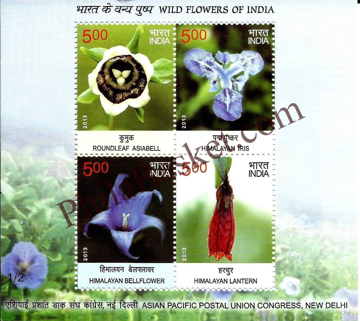 #MS118 - Wild Flowers of India (2/3) - Miniature Sheet MS - MNH - India - 03 Sep 2013