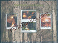 #MS187 - Caves of Meghalaya - Miniature Sheet MS - MNH - India - 15 Aug 2017