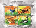 #MS40 - Endangered Birds of India - Miniature Sheet MS - MNH - India - 05 Oct 2006
