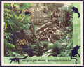 #MS74 - Rare Fauna of the North East - Miniature Sheet MS - MNH - India - 01 Oct 2009